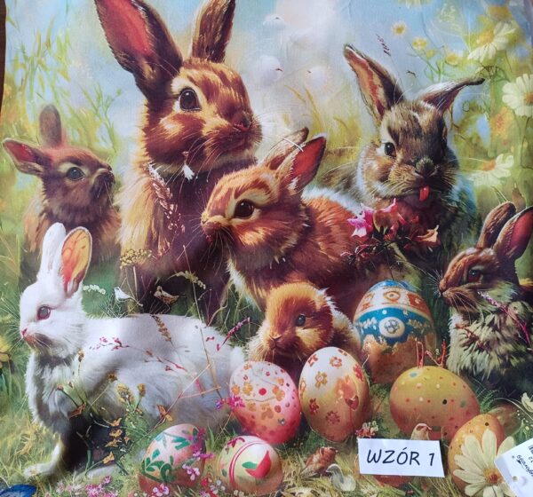 20250314_083438 20250314_083438